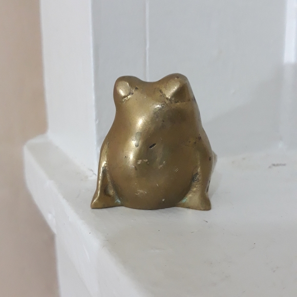 Snooty Amphibian - Picture 4 of 7